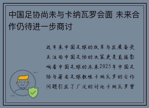 中国足协尚未与卡纳瓦罗会面 未来合作仍待进一步商讨